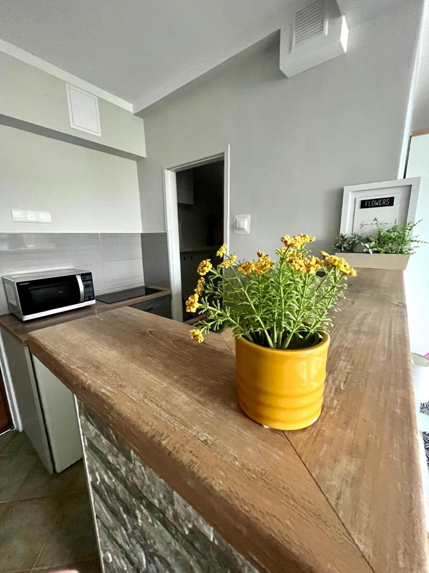 Apartament Sloneczny シフィノウイシチェ エクステリア 写真